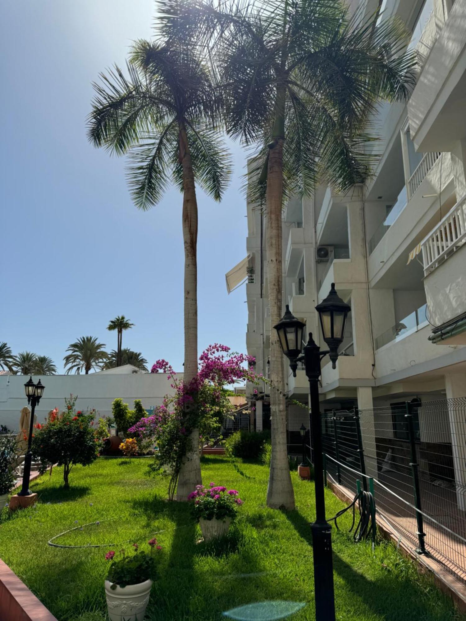 Apartamento reformado en Playa del Inglés San Bartolomé Esterno foto